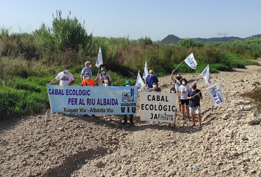 Miembros de la organización ecologista el pasado verano en el cauce seco del río Albaida, en una imagen difundida en su web