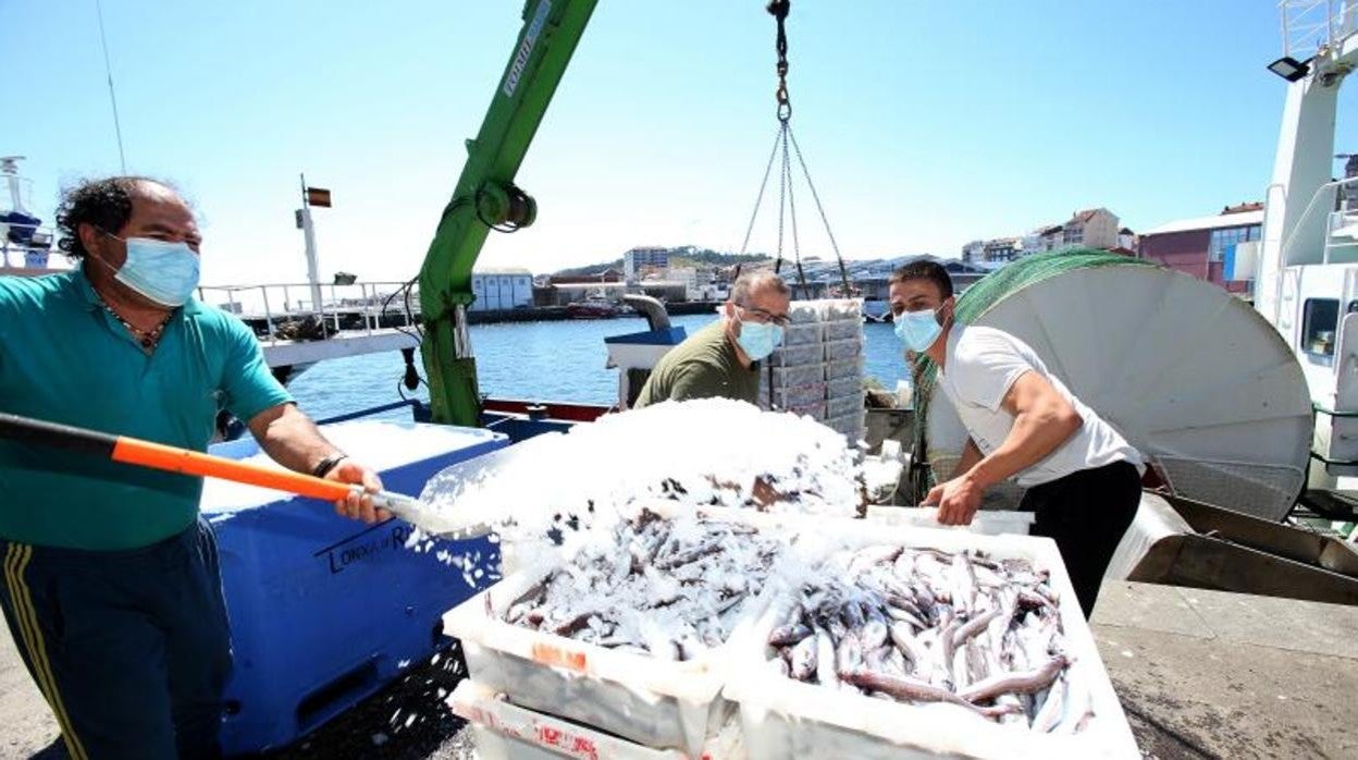 Un barco de arrastre en el puerto de Ribeira