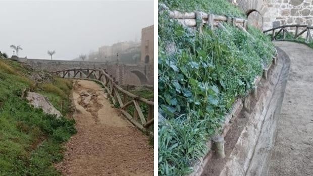 El Plan de Empleo interviene en la Senda Ecológica y el entorno del Puente de Alcántara para su limpieza