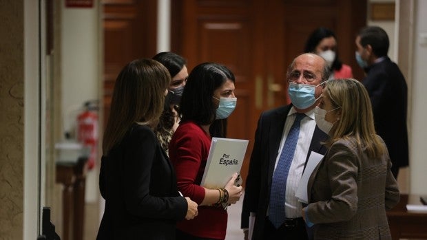 El Congreso no sancionará a los diputados de Vox que boicotearon el acto de 'los seis de Zaragoza'