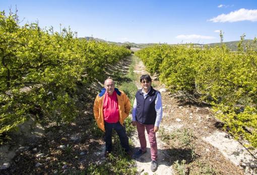 José Vicente Andreu (derecha) con Javier Gómez, representante de Asaja en la Vega Baja de Alicante