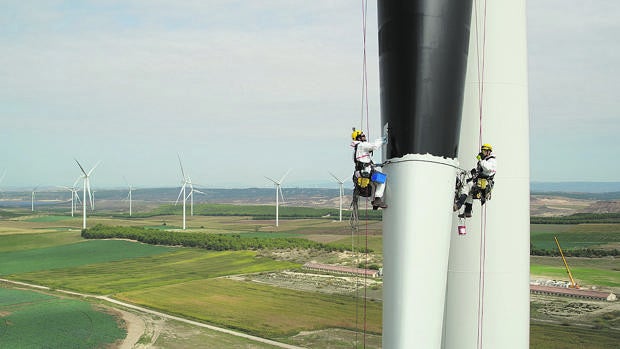 Entre aves y molinos de viento