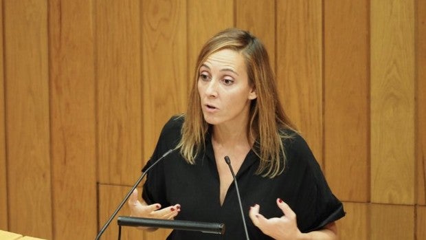 Afines a Formoso y a Caballero pugnarán por el control del PSOE coruñés