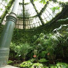 Jardín Botánico de Madrid.