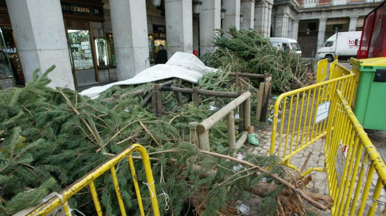 Árboles de Navidad en la Plaza Mayor de Madrid