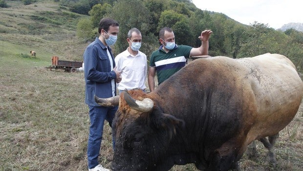 Ofensiva municipal del PP para reprobar a Garzón antes del 13-F