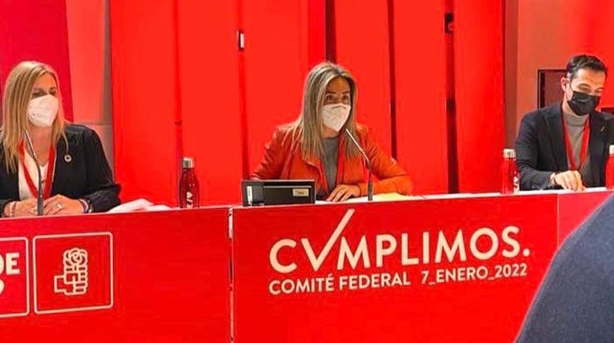 Milagros Tolón, en el centro, durante el Comité Federal este viernes