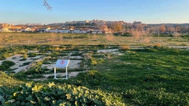 Ciudadanos reclama 500.000 euros para poner en marcha el Plan de la Vega Baja