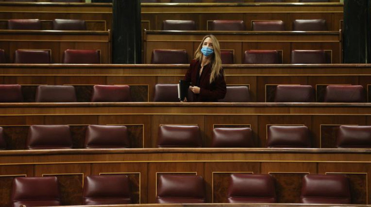 La exportavoz del Grupo Popular Cayetana Álvarez de Toledo