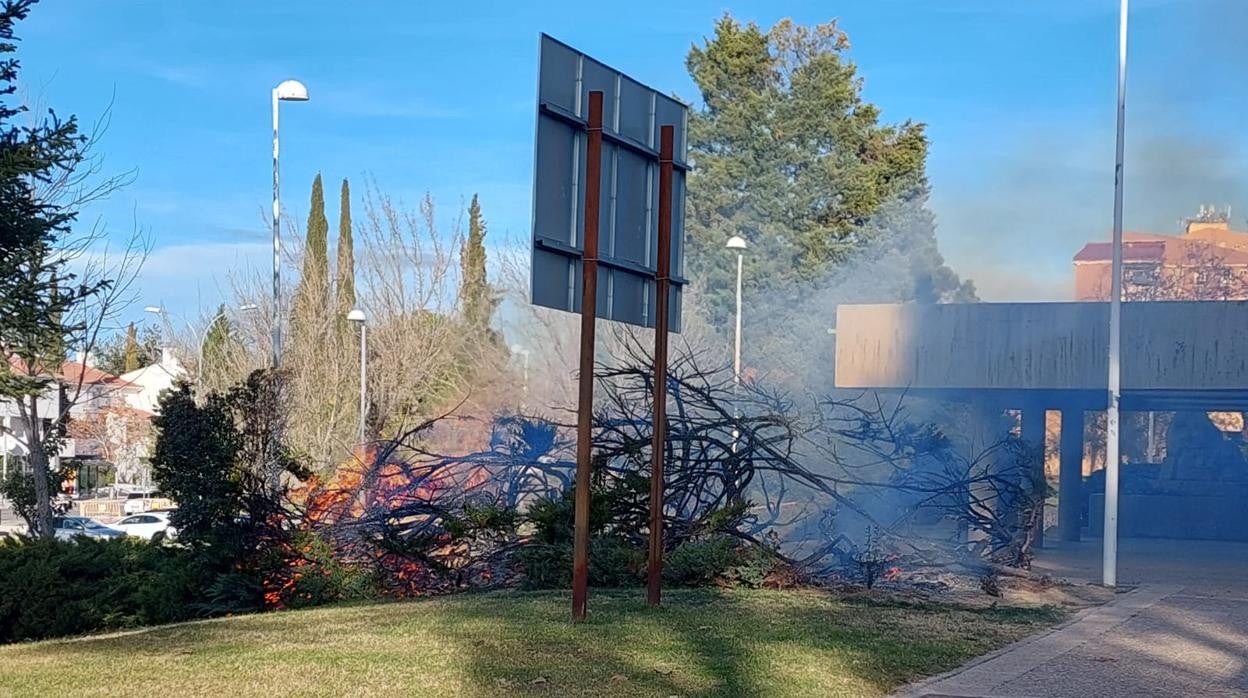 Arbustos y setos ardiendo junto a la entrada de la biblioteca del barrio del Polígono