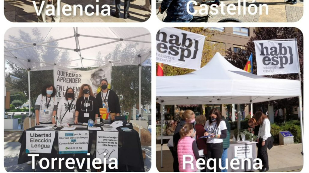 Varias recogidas de firmas de Hablamos Español en municipios de la Comunidad Valenciana