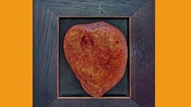 El canto del Ave Fénix