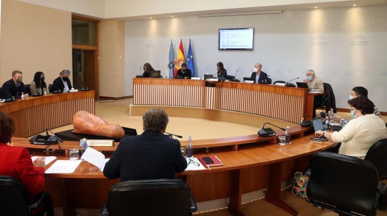 Xosé Díaz compareciendo durante la comisión sobre financiación autonómica