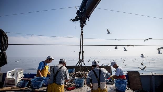 Torrevieja se une al proyecto de reciclaje de basura marina y ya hay 200 barcos en toda la Comunidad Valenciana