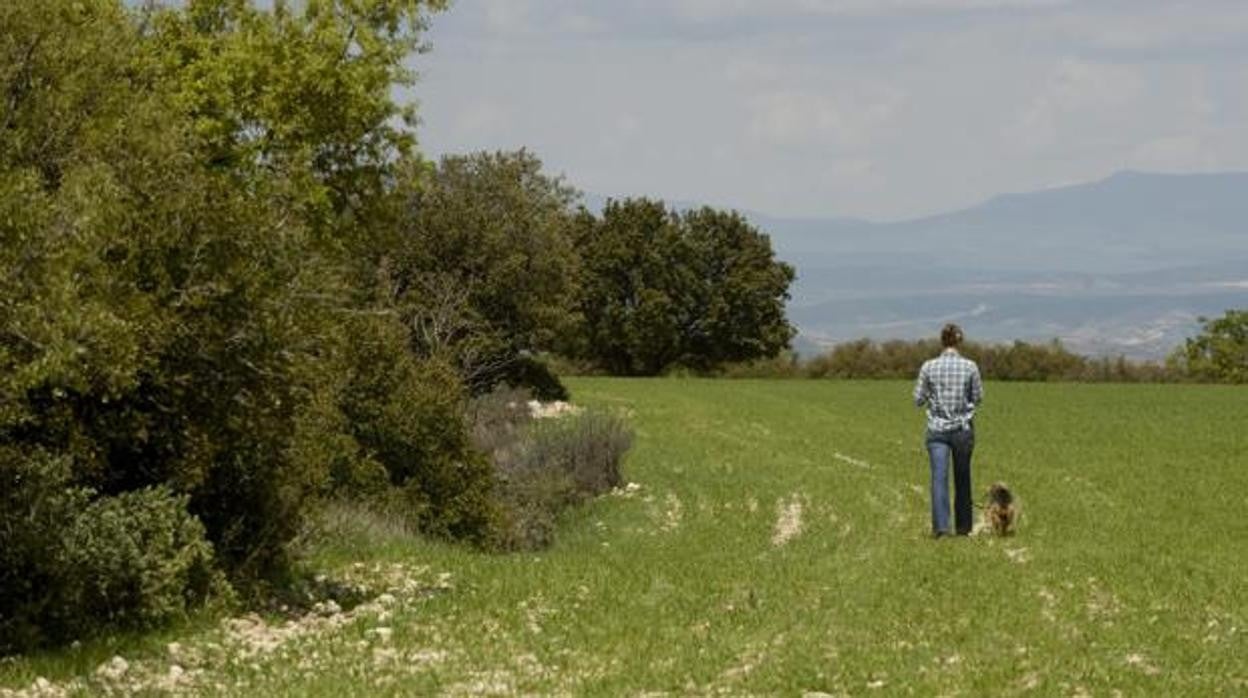 Los pueblos de la Alcarria serán protagonistas en Fitur 2022