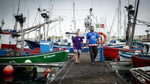 Los pescadores podrán volver a la zona afectada por el volcán de La Palma