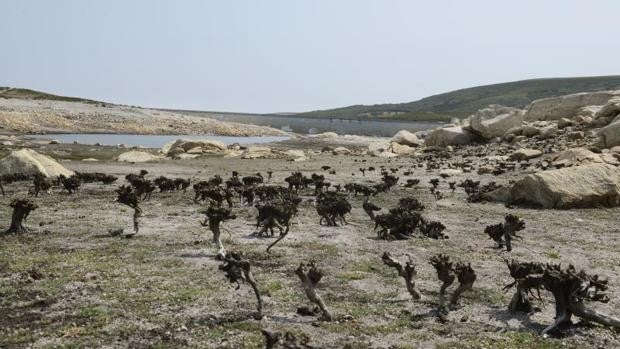 La Xunta sancionará con 200.000 euros a las eléctricas y al Gobierno por el vaciado de embalses