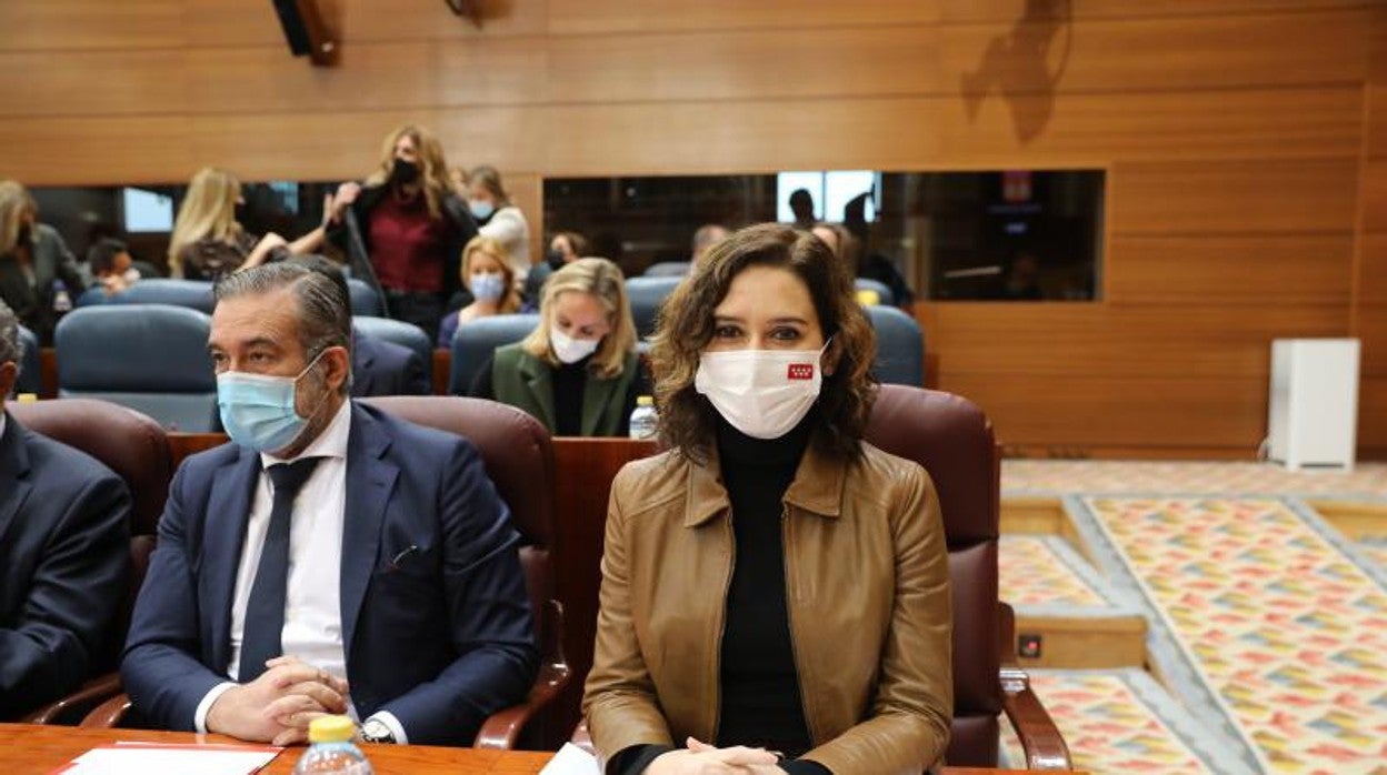 La presidenta de la Comunidad de Madrid, Isabel Díaz Ayuso, esta mañana en la Asamblea de Madrid