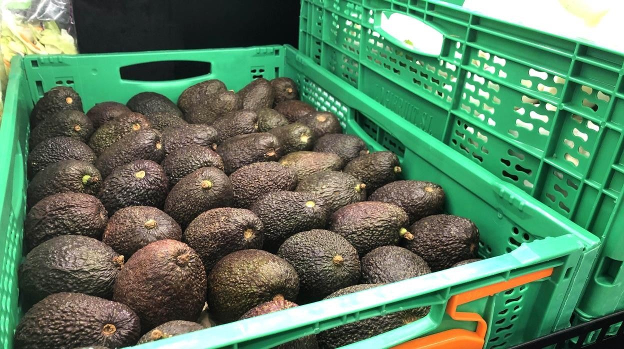 Imagen de una caja de aguacates a la venta en los supermercados de Mercadona