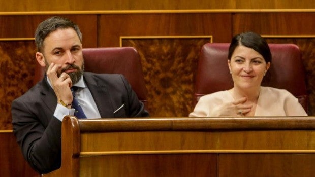 Vox pide las actas sobre Casero al Congreso y pone en marcha su recurso ante el TC