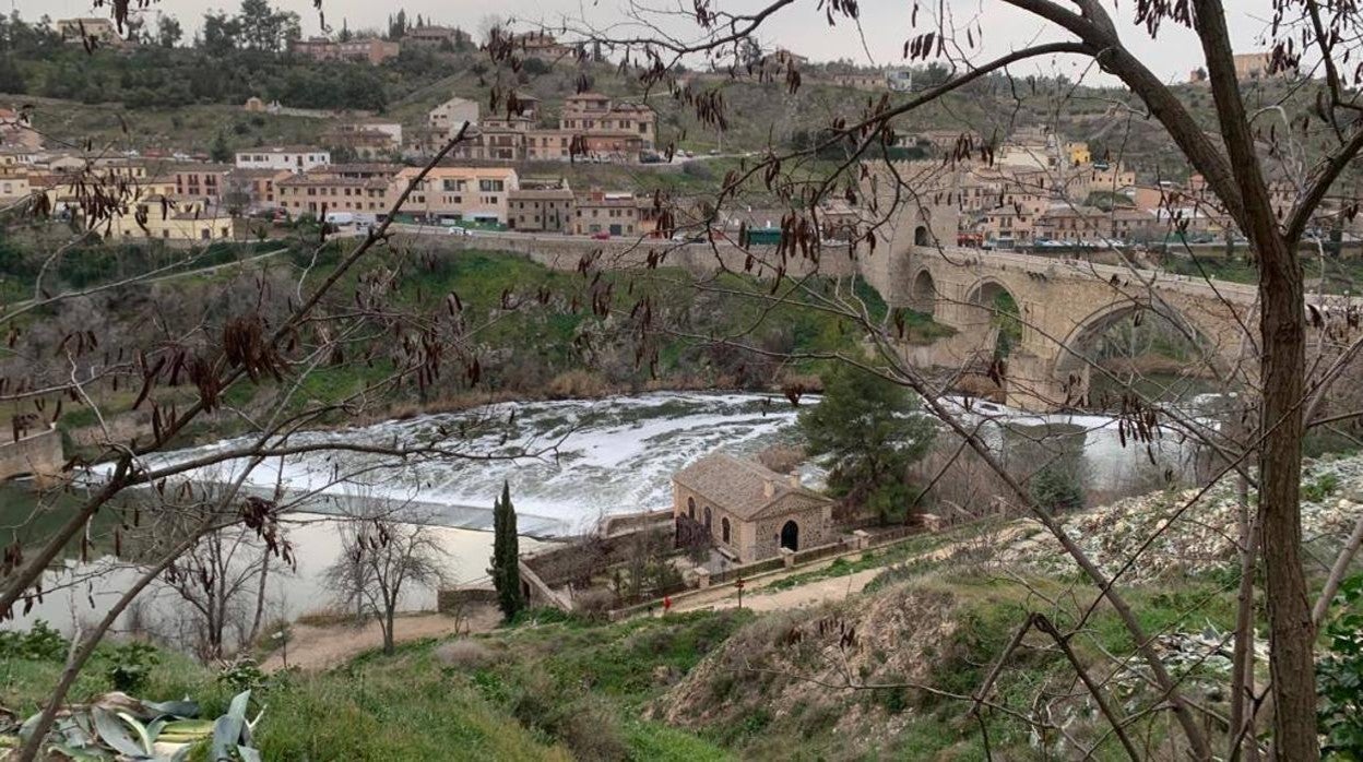 Organizan una visita guiada por el río para reivindicar un Tajo limpio