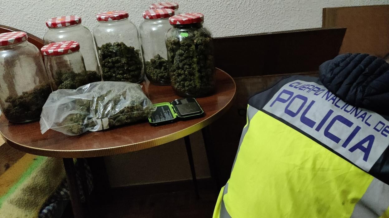 Desarticulan en Toledo una doble red dedicada a la distribución de marihuana en Europa