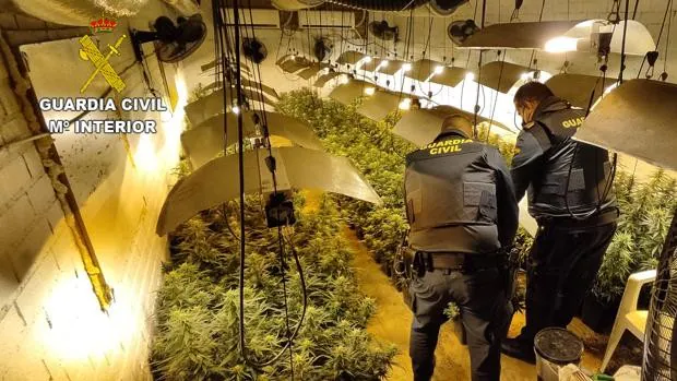 Detenido por cultivar marihuana en una vivienda ocupada ilegalmente en Erustes