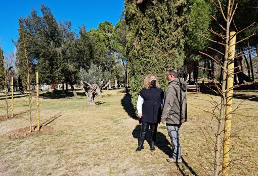 La concejal Marta Medina supervisa la plantación