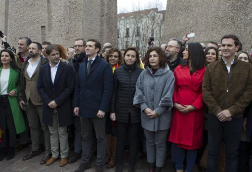 Pablo Casado en la manifestación en Colón, Madrid, junto a Ciudadanos y Vox (2019)