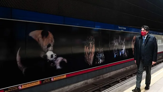 Animales en extinción estrenan hábitat en la estación de Metro de Casa de Campo por el 50 aniversario del Zoo
