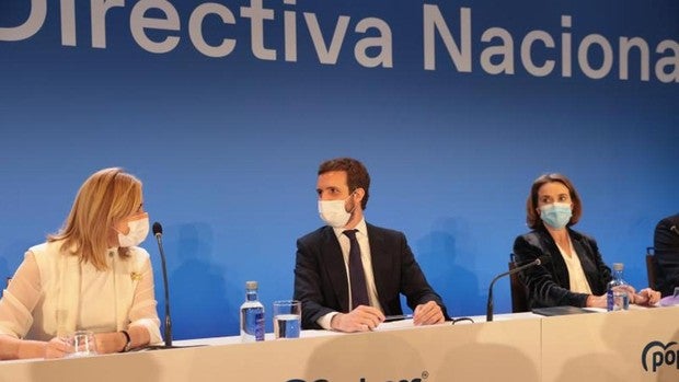 Casado: «Lamento todo lo que he hecho mal, pero no merezco la reacción que he sufrido»