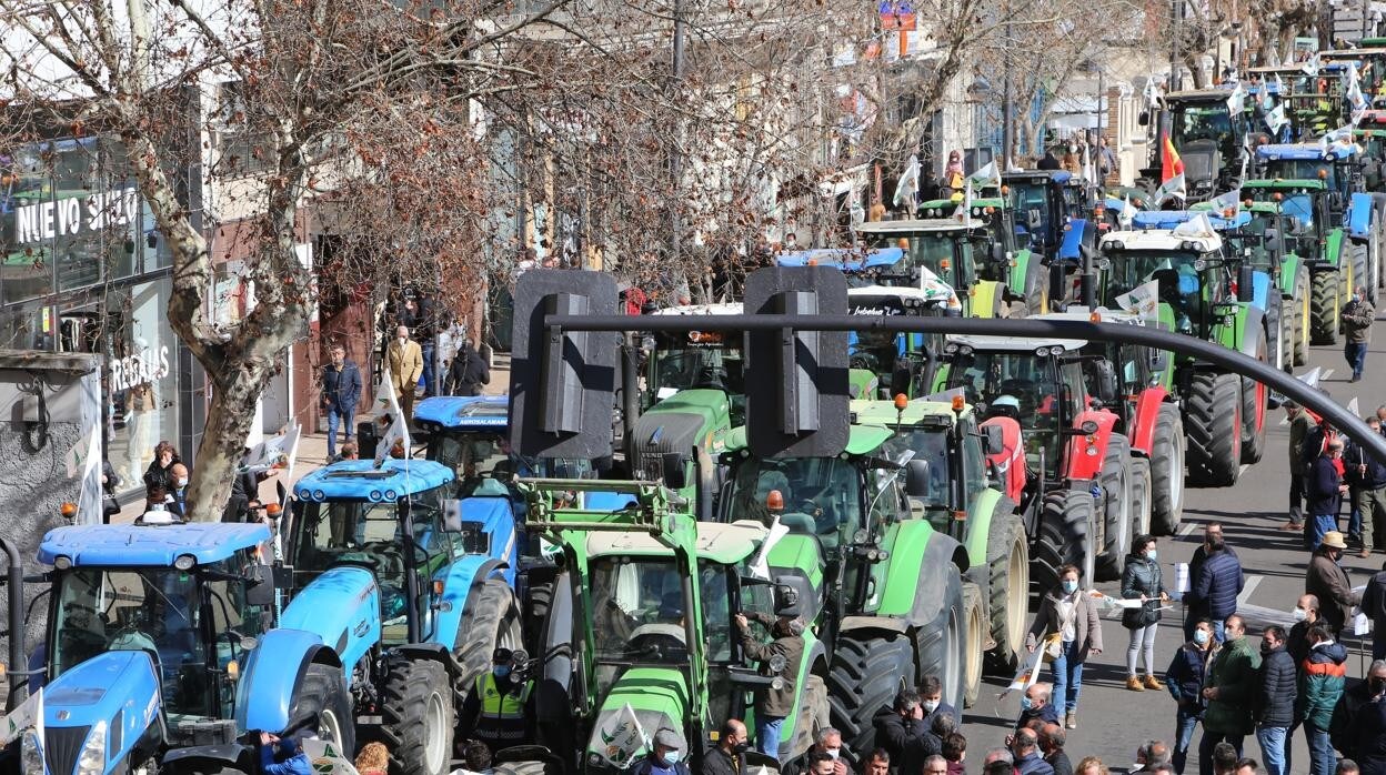 La tractorada convocada por UPA, COAG y Asaja hoy en Zamora para exigir un plan de choque contra el incremento de precios
