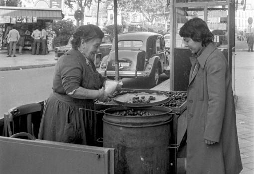 La castañera madrileña