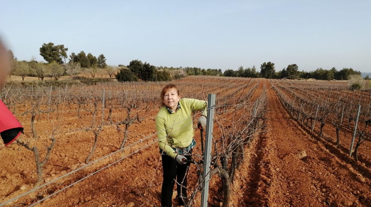 Una agricultura en un campo valenciano