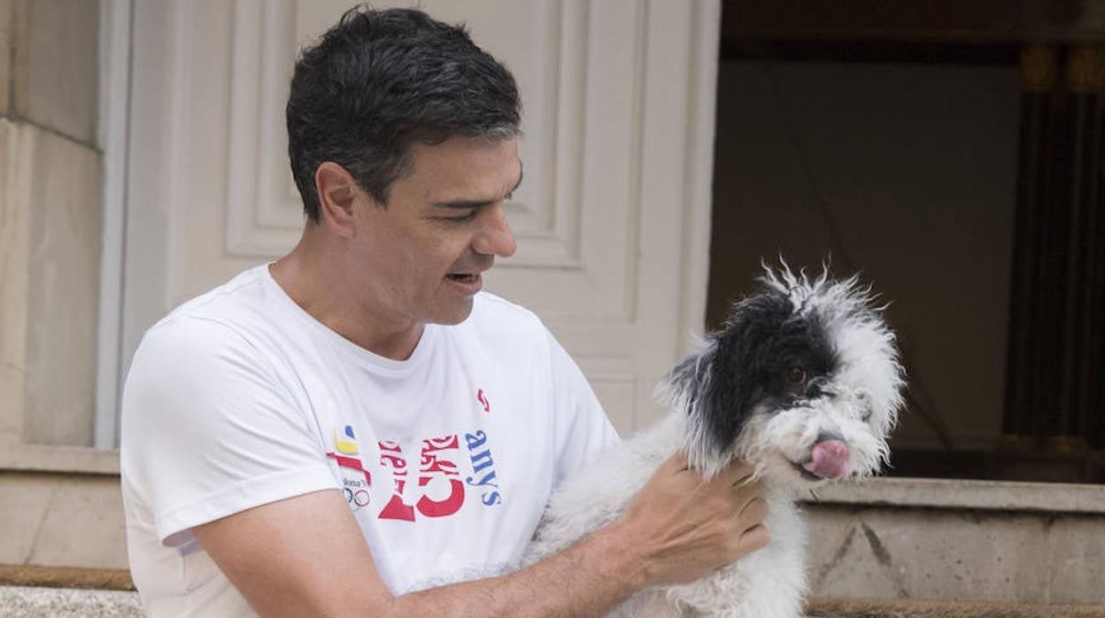 Pedro Sánchez con la perrita Turca, en 2018
