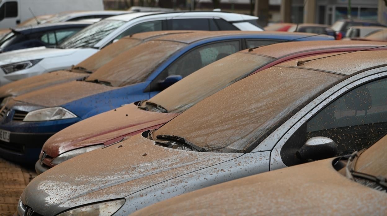 Imágenes de coches en la capital burgalesa cubiertos de arena del Sáhara