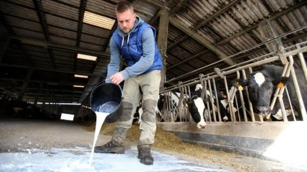 Ramón Vázquez, el ganadero gallego con 150 vacas y 6.000 litros de leche tirados al día por los paros del transporte