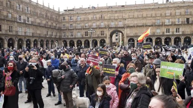 Varios centenares de personas secundan las protestas contra las subidas de precios de Vox y Solidaridad