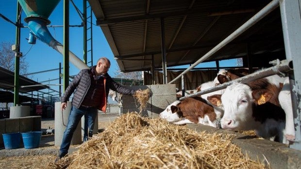 Cataluña tiene existencias para un mes de producción  agroalimentaria  por la guerra en Ucrania