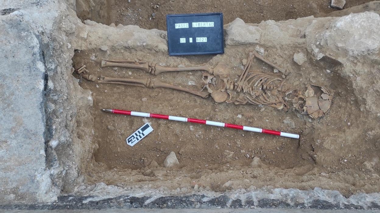 Algunos de los restos hallados durante las excavaciones en el Paseo de la Libertad, en Albacete