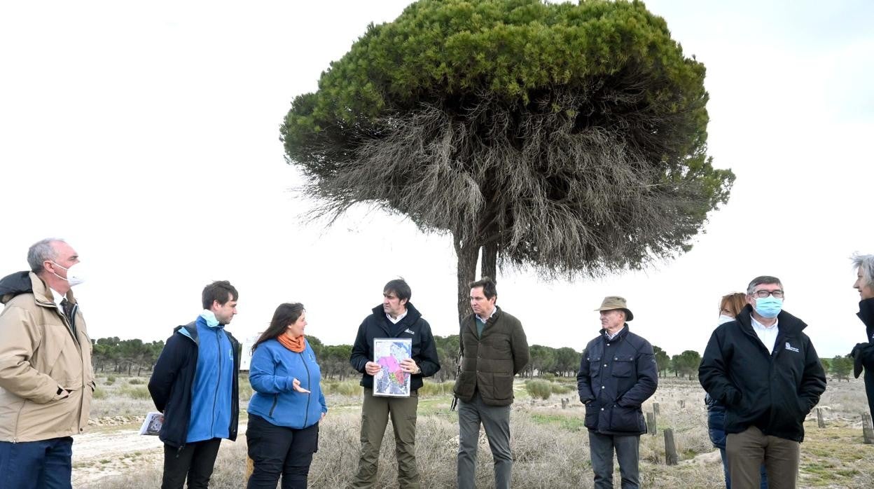 El consejero de Fomento, Juan Carlos Suárez-Quiñones, visita los trabajos de restauración de los terrenos afectados por un incendio en Nieva y Nava de la Asunción, dentro de los actos del Día Internacional de los Bosques