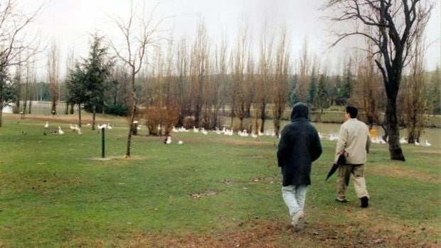 Detectado un brote de gripe aviar en el parque El Soto, de Móstoles