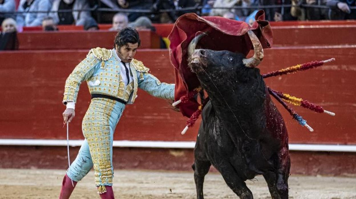 Morante de la Puebla, en la reciente feria de Fallas