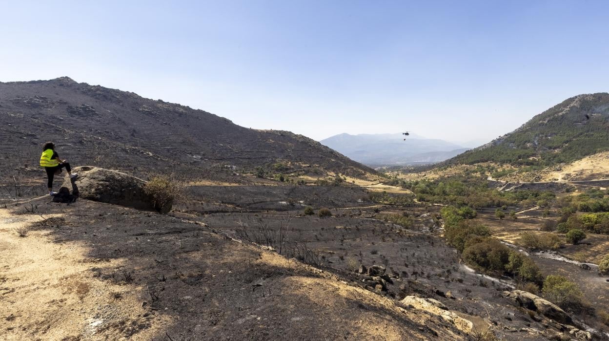 El incendio registrado en Navalacruz en una imagen de archivo