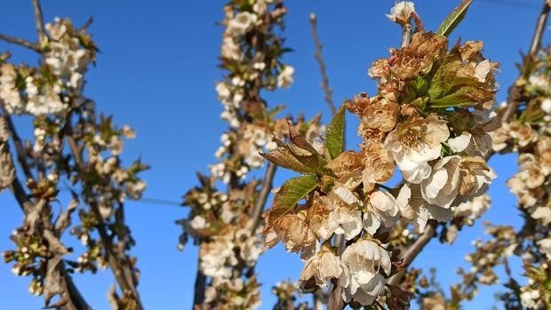 Las bajas temperaturas persistirán con hasta seis bajo cero de madrugada en Castilla y León