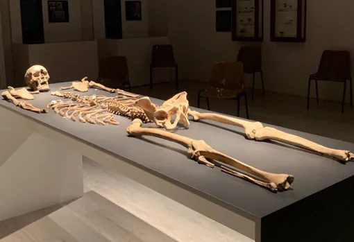 Esqueleto casi completo del 'Hombre de Agaete'