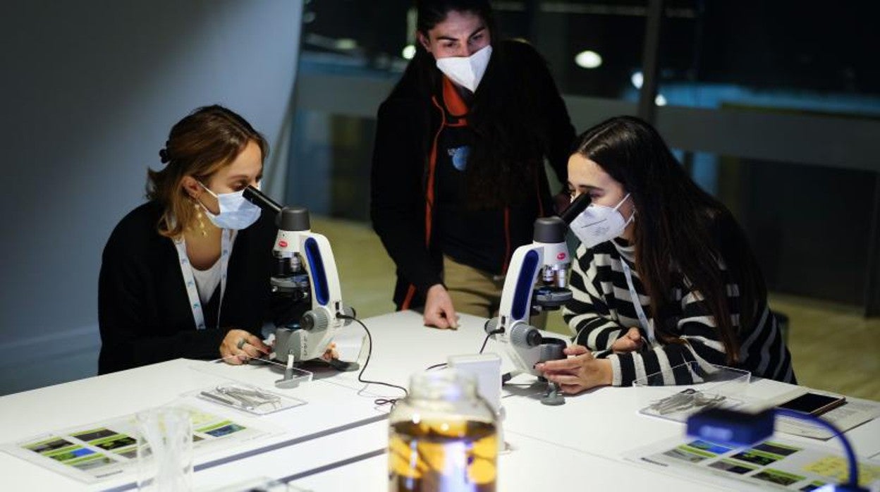 CosmoCaixa inaugura un nuevo espacio dedicado al mundo microscópico