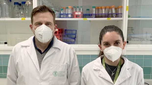 Investigadores de la UCV descubren un nuevo biomaterial marino que destruye el coronavirus