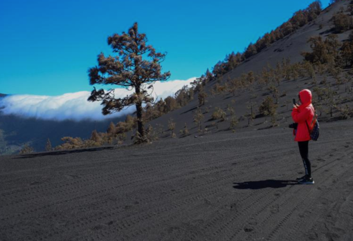 Una de las participantes de la ruta guiada toma una foto con su móvil