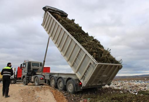 Desmantelan en Navarra la mayor plantación de marihuana de Europa